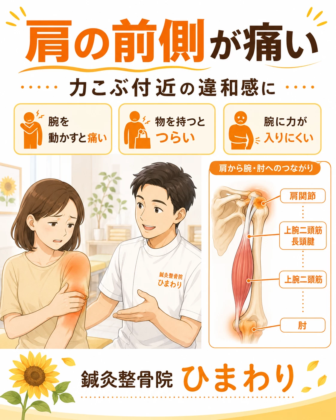 横須賀市で上腕二頭筋腱損傷による肩や肘の痛み、力こぶ付近の違和感に悩む方へ、鍼灸整骨院ひまわりがケアを案内するヒーロー画像