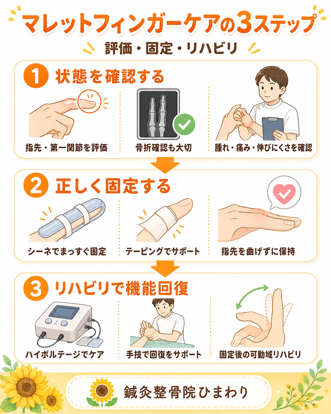 鍼灸整骨院ひまわりのマレットフィンガーケアとして、評価と適切な固定、治癒促進と周辺ケア、固定後のリハビリを示した3ステップ画像