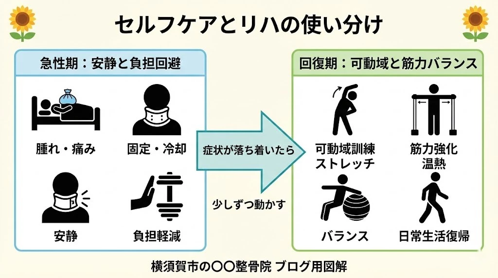 横須賀市の交通事故後にセルフケアとリハを使い分ける考え方