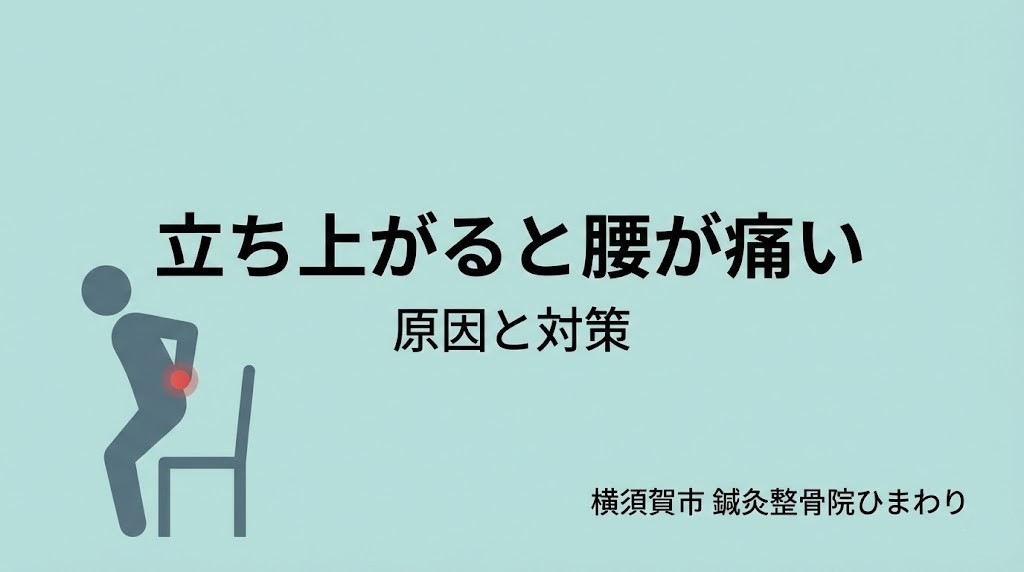 横須賀市 立ち上がると腰が痛い 原因と対策 鍼灸整骨院ひまわり北久里浜院 鍼灸整骨院ひまわり衣笠院