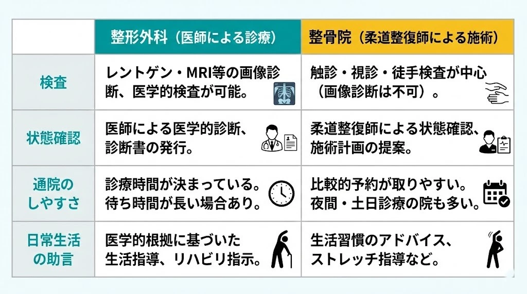 横須賀市で交通事故後の病院と整骨院の役割を比較する図解