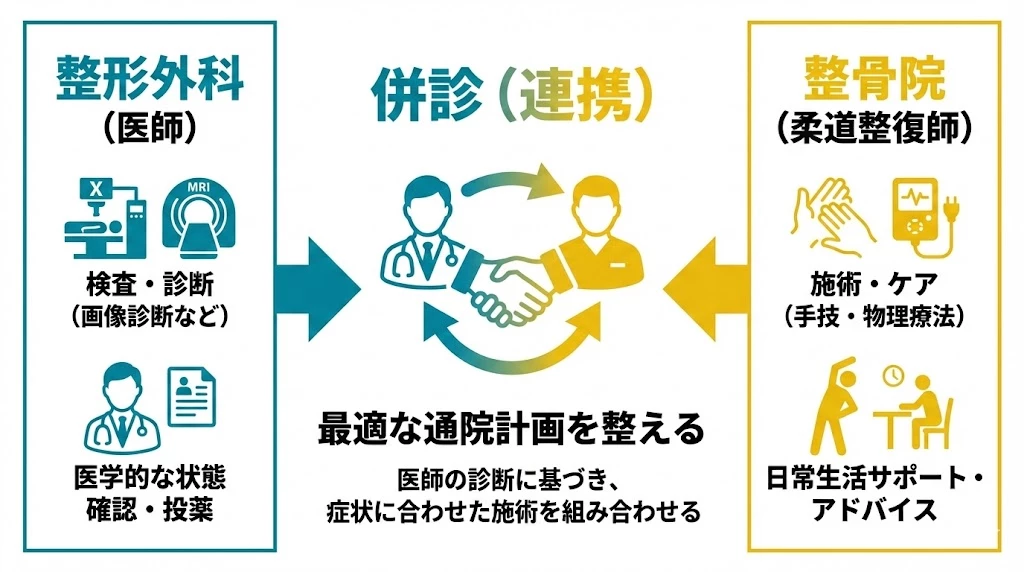横須賀市で交通事故後の医療機関と整骨院の併診を説明する図解