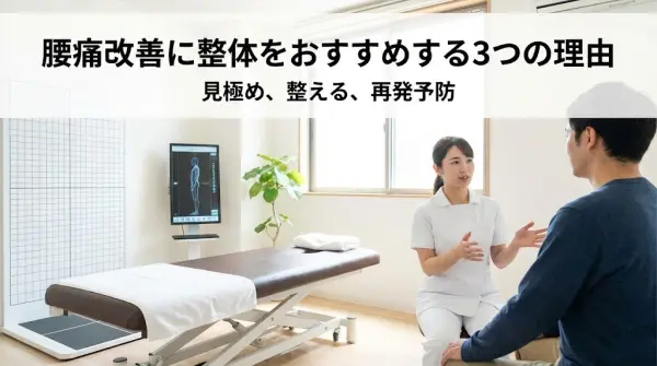 横須賀市 腰痛 整体 おすすめ 3つの理由 鍼灸整骨院ひまわり北久里浜院 鍼灸整骨院ひまわり衣笠院