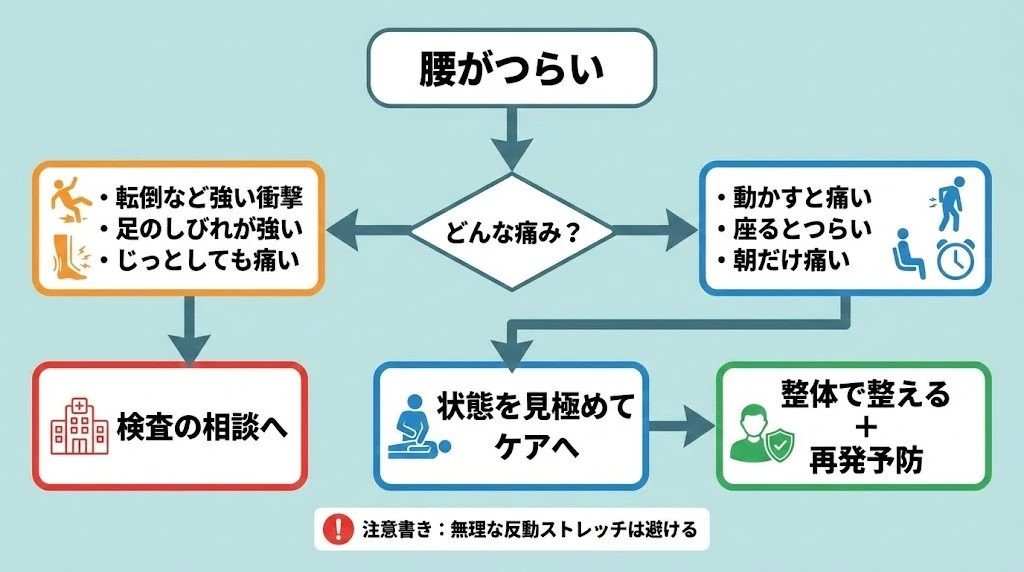 腰痛 受診判断フロー 腰痛で整体か整形外科か迷う時の受診判断フロー 横須賀市