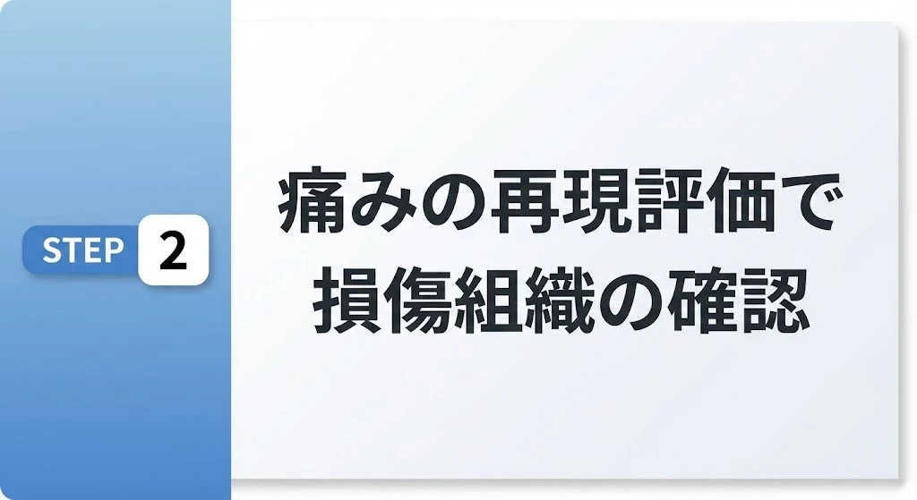 STEP2 痛みの再現テストで負担部位を確認