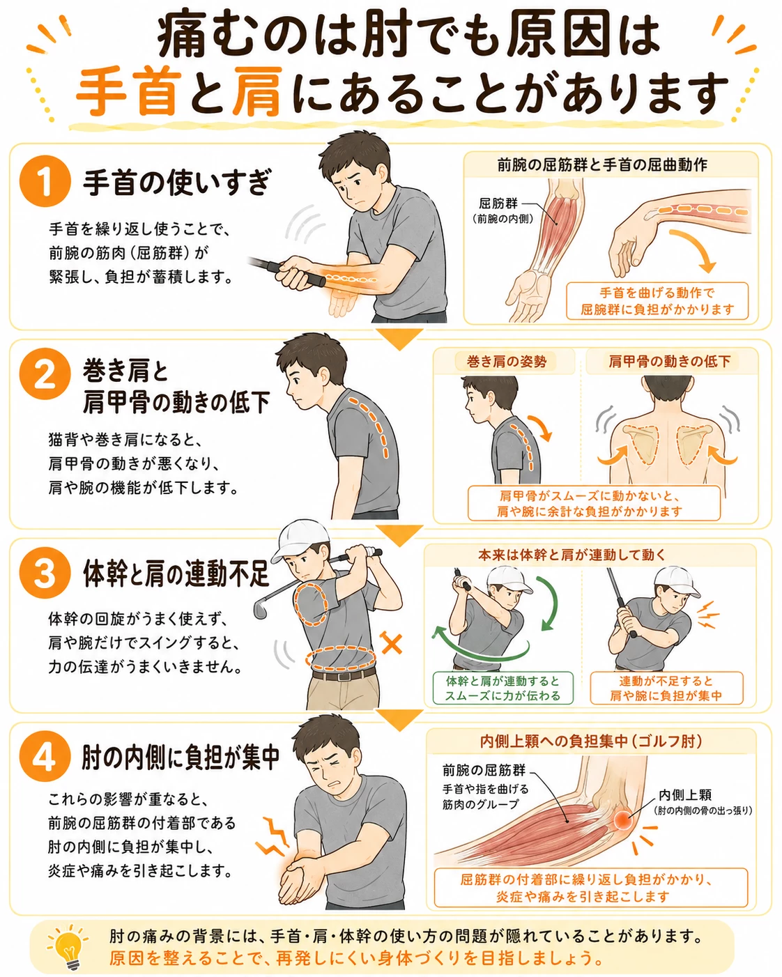 内側上顆炎ゴルフ肘で手首の使いすぎや巻き肩肩甲骨の動きの低下が肘の内側の痛みに関係することを示す図解画像