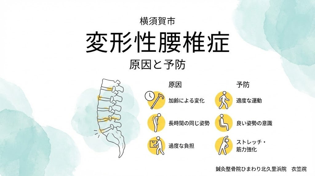 横須賀市で変形性腰椎症の原因と予防の要点をまとめたアイキャッチ画像