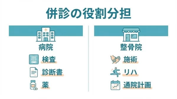病院と整骨院の役割分担を示す図解