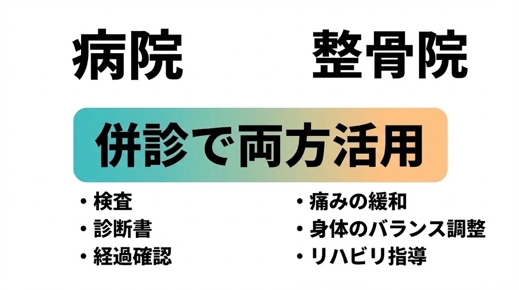 病院と整骨院を併診で両方活用する役割比較の図。検査や診断書と痛み緩和やリハビリ指導を整理。