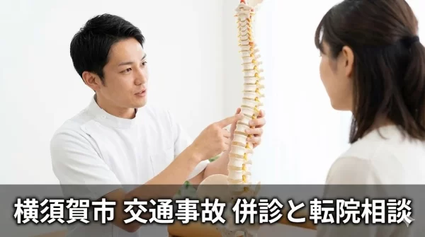 施術者が背骨模型で説明する相談イメージ写真。横須賀市の交通事故の併診と転院相談。