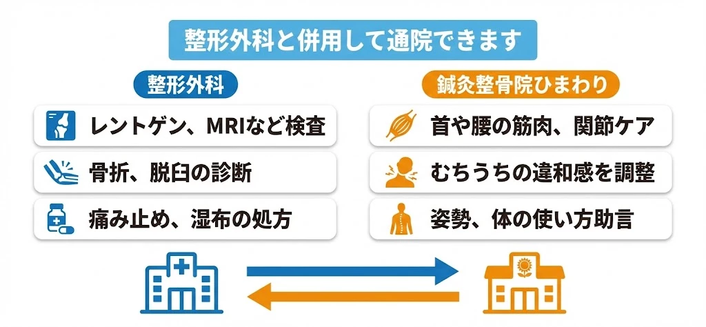 横須賀市 交通事故 整形外科 併診 図