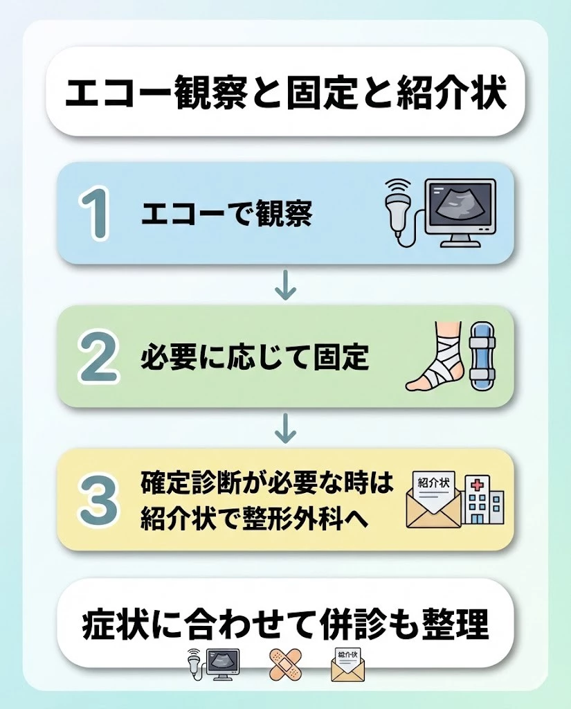 エコー観察と固定と紹介状の流れを示す図解