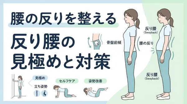 横須賀市で反り腰や腰の反りによる負担感に悩む方へ向けたアイキャッチ画像