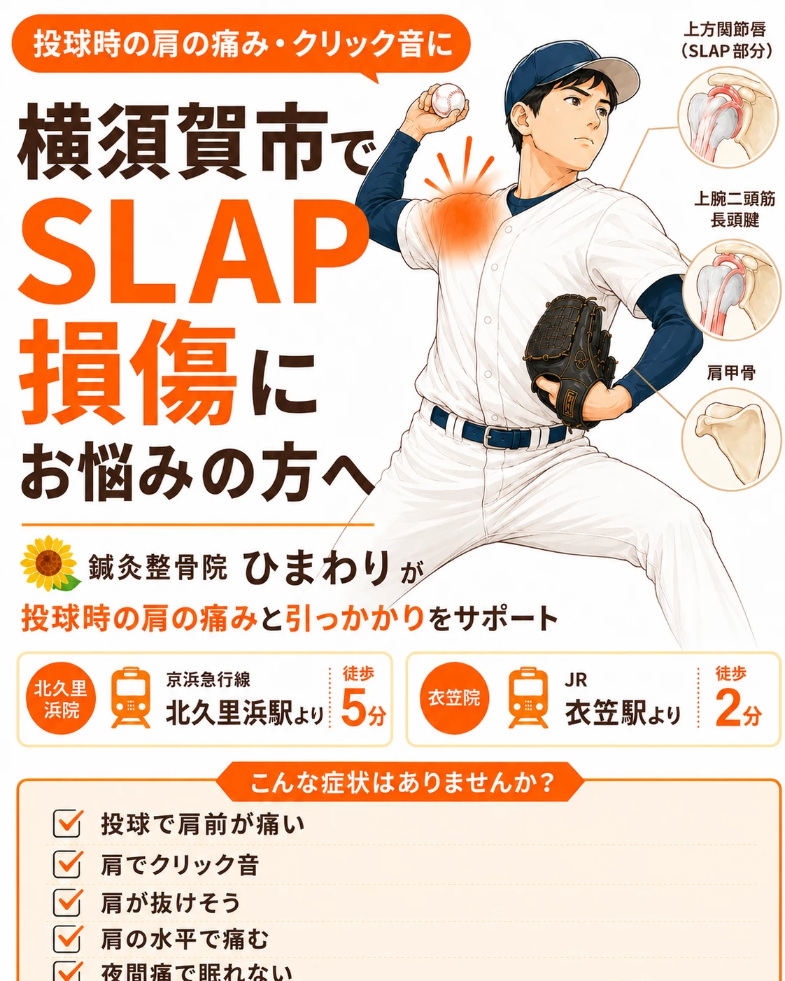 横須賀市でSLAP損傷による投球時の肩の痛みや引っかかりに悩む方へ鍼灸整骨院ひまわりが施術を案内するヒーロー画像