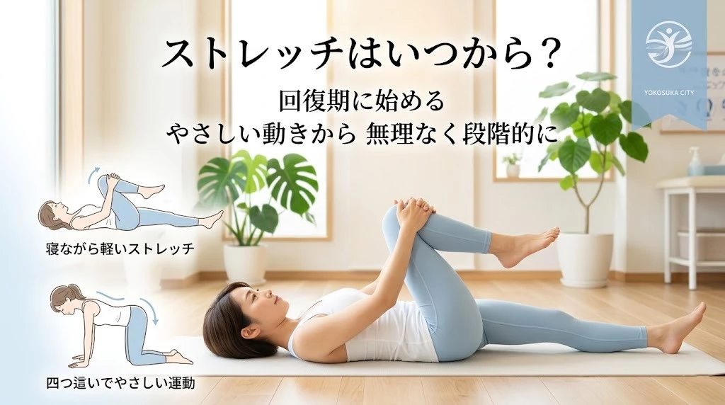 横須賀市でぎっくり腰後のストレッチ開始時期と安全な方法を紹介するヒーロー画像