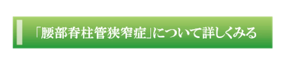 腰部脊柱管狭窄症について詳しくみるボタン