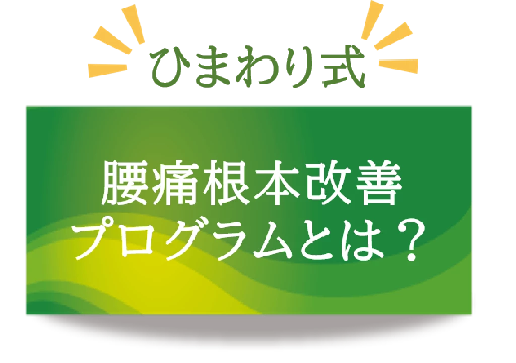 ひまわり式腰痛根本改善プログラムとは何かを説明する横須賀市の鍼灸整骨院ひまわりの見出し画像