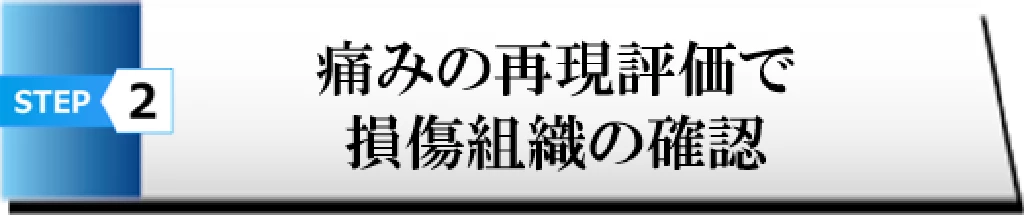 STEP2 痛みの再現評価で損傷組織を確認することを示す見出し画像