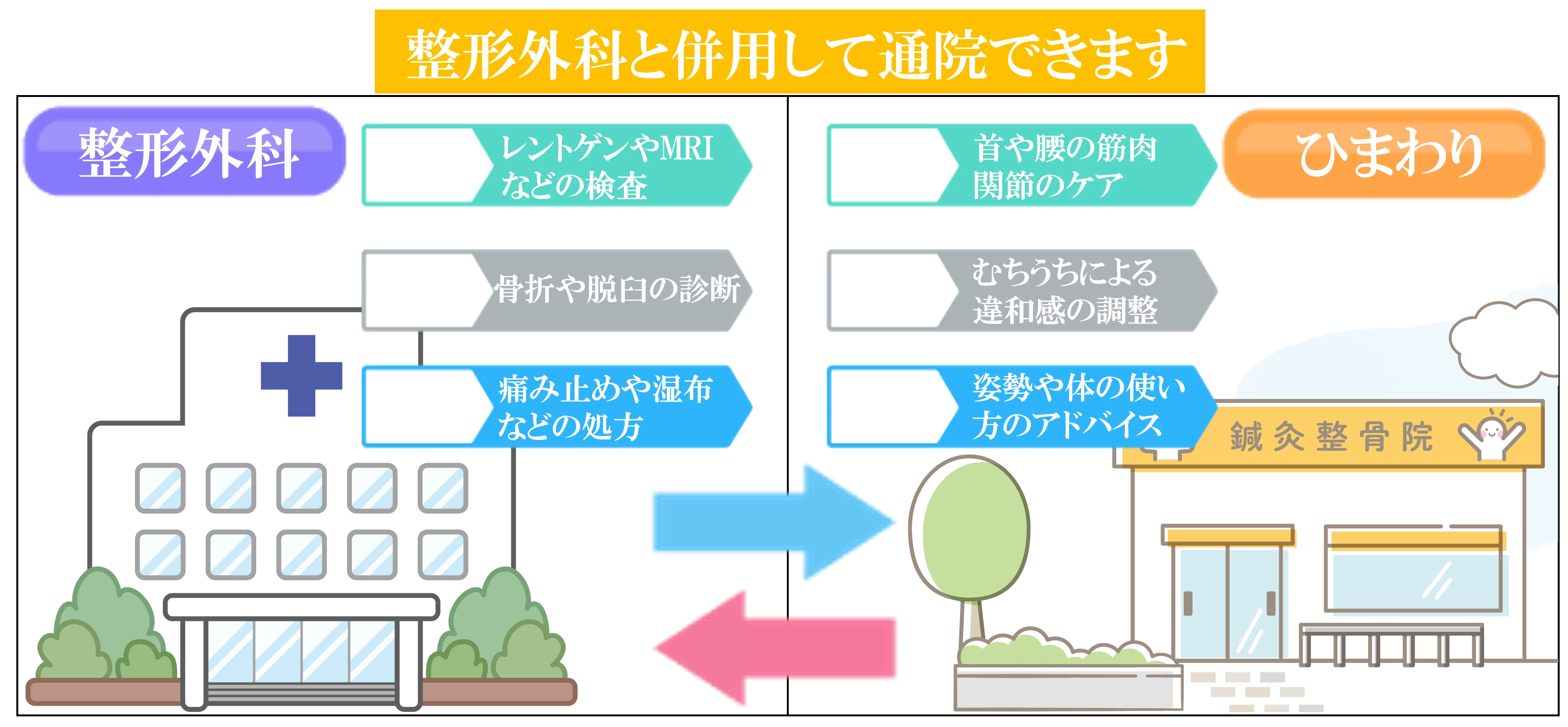 交通事故後の通院で整形外科と鍼灸整骨院ひまわりがどのように役割分担しているかを示す図で検査や診断は整形外科、筋肉や関節のケアやむちうちは鍼灸整骨院ひまわりが担当することを分かりやすく説明した画像