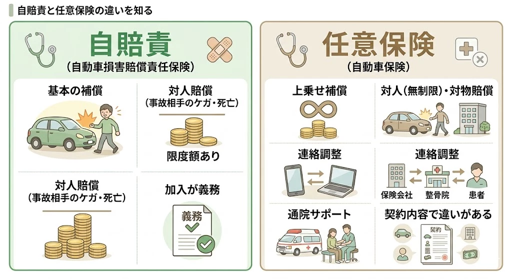 自賠責保険と任意保険の違いを整理したベクター説明図