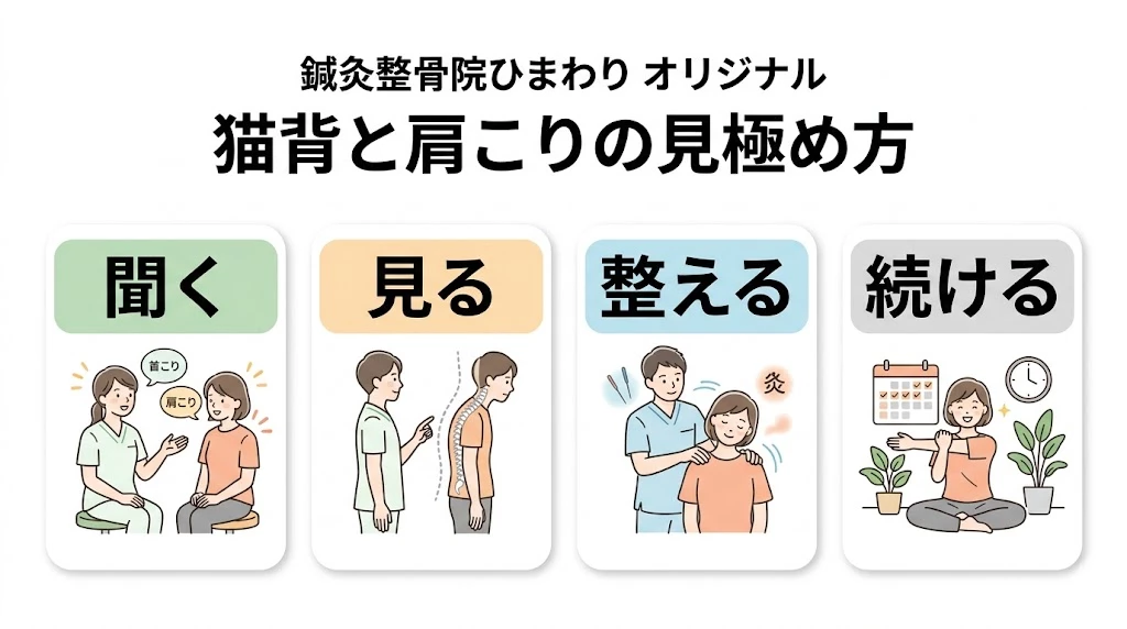 鍼灸整骨院ひまわりの猫背と肩こりの見極め方をシンプルに示したベクター図解
