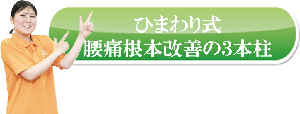 横須賀市の鍼灸整骨院ひまわりが提案するひまわり式・腰痛根本改善の3本柱の見出し画像