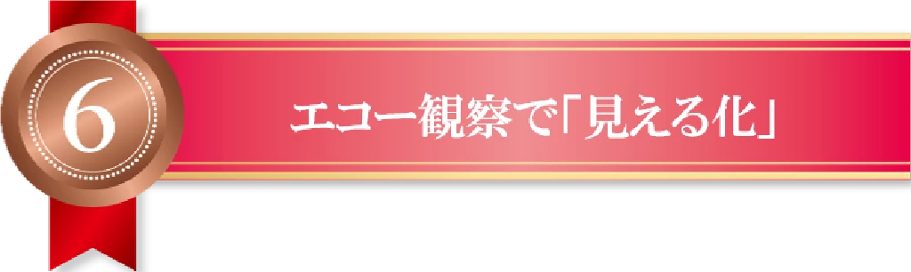 エコー観察でからだの状態を見える化することを示す理由6のリボンバナー