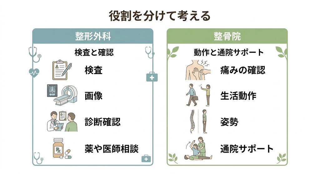 整形外科と整骨院の役割分担を分かりやすく整理したベクター説明図