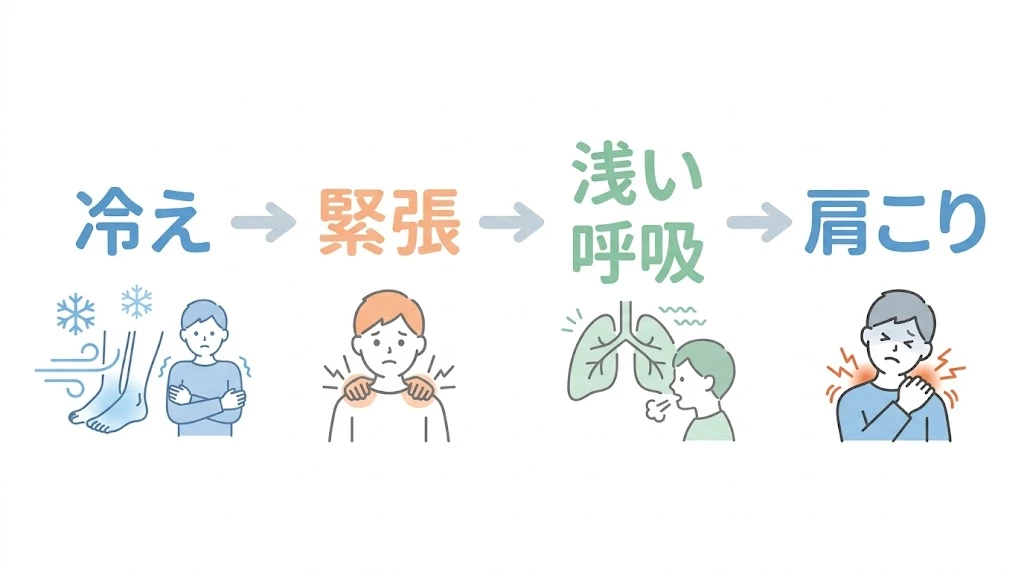 冷えと自律神経と肩こりの関係をシンプルに整理したベクター図解