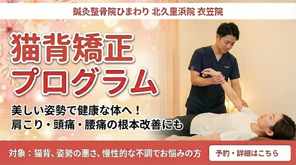 横須賀市の鍼灸整骨院ひまわり北久里浜院と衣笠院の猫背矯正プログラムバナー。姿勢改善と肩こり、頭痛、腰痛ケアの案内。