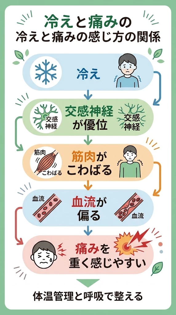 冷えと痛みの感じ方の関係 冷えと自律神経の乱れで痛みが重く感じやすくなる流れをまとめたベクター画像