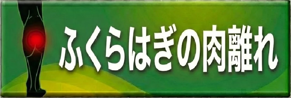 横須賀市のスポーツ障害 ふくらはぎの肉離れの案内ボタン
