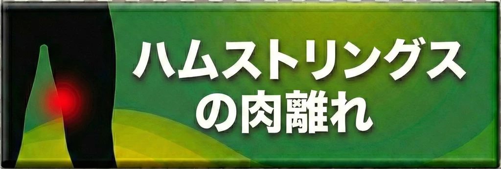 横須賀市のスポーツ障害 ハムストリングスの肉離れの案内ボタン