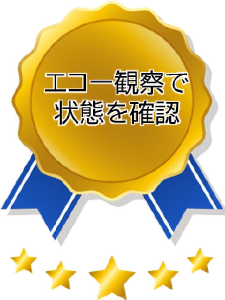 横須賀市の鍼灸整骨院ひまわり北久里浜院と衣笠院でスポーツ障害の状態をエコー観察で確認している事を伝えるバッジ画像