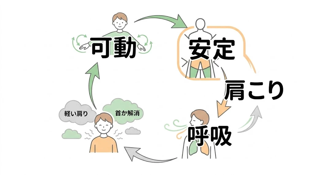 肩こり改善に必要な可動と安定性をシンプルに整理したベクター図解