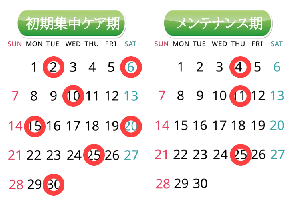 トムソン骨格矯正コース通院スケジュールイメージ 横須賀市の鍼灸整骨院ひまわりトムソン骨格矯正コースの初期集中ケア期とメンテナンス期の通院スケジュールを示したカレンダー画像