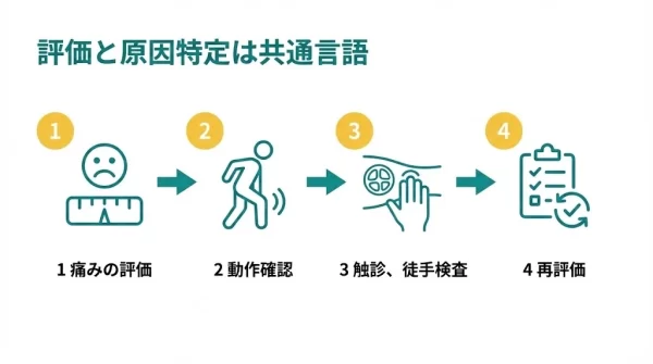 横須賀市の鍼灸整骨院ひまわりで行う評価と原因特定の4手順
