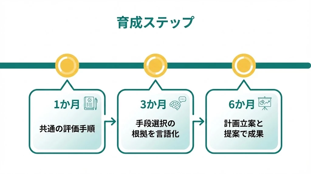 鍼灸師採用で1か月、3か月、6か月の育成ステップを示す図
