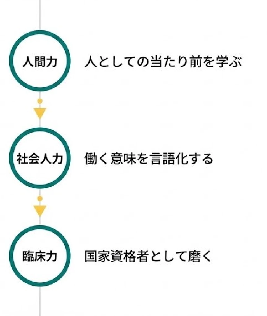 鍼灸整骨院ひまわりの教育制度 人間力、社会人力、臨床力を示す3ステップ図