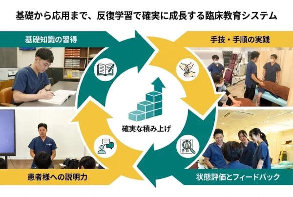 横須賀市の鍼灸整骨院ひまわりの教育制度 反復で成長する臨床教育システムの循環図