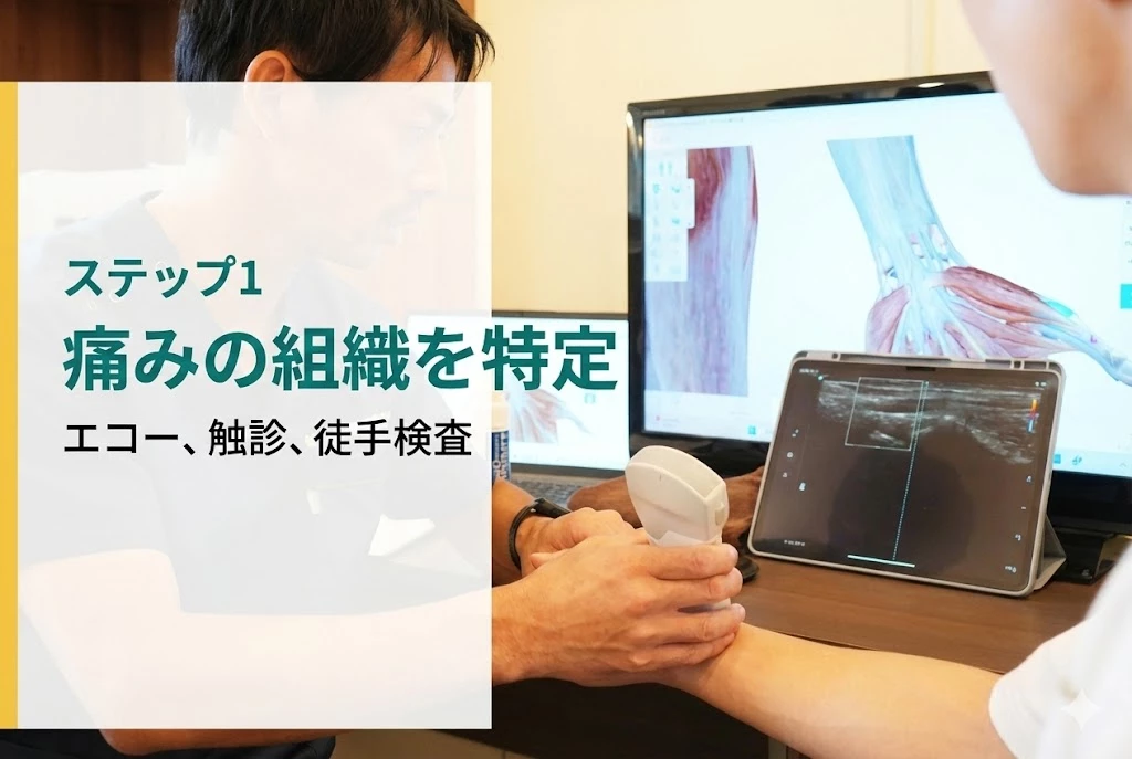 横須賀市の鍼灸整骨院ひまわりでエコーを使い前腕の状態確認を行う柔道整復師採用画像