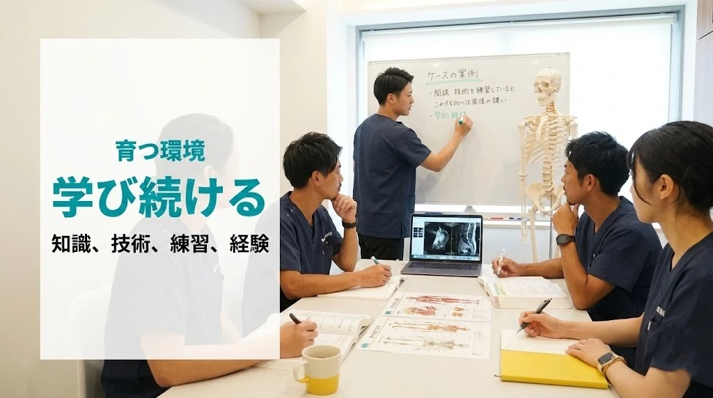 横須賀市の鍼灸整骨院ひまわりでホワイトボードと骨格模型を使って学ぶ柔道整復師採用画像