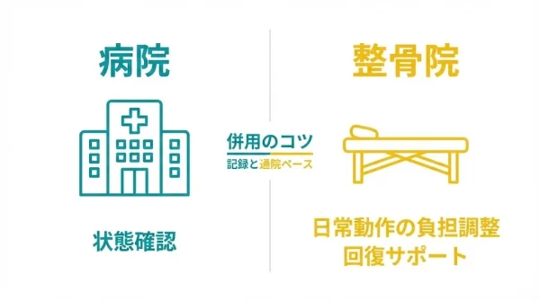 病院と整骨院の併用の考え方を示す図 状態確認と生活動作サポート