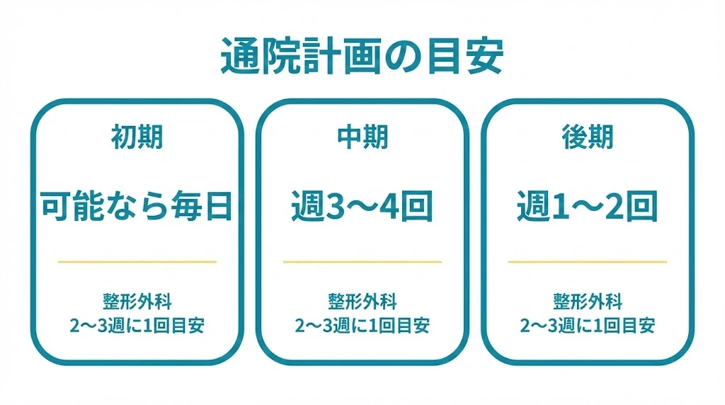 横須賀市の非接触事故の通院頻度と整形外科受診目安