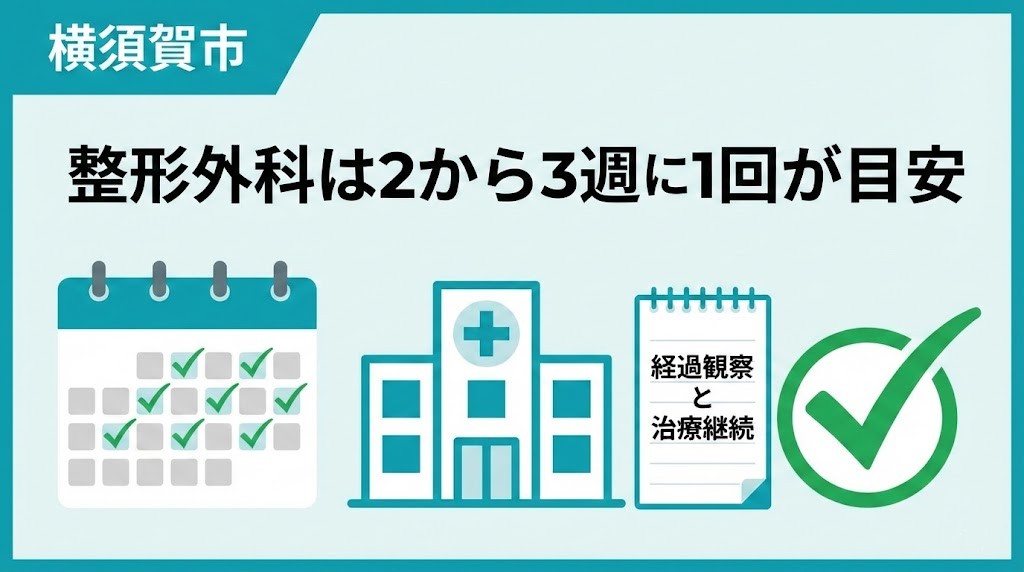 横須賀市の交通事故後、整形外科は2から3週に1回の定期受診が目安と分かるアイキャッチ。鍼灸整骨院ひまわり北久里浜院、衣笠院