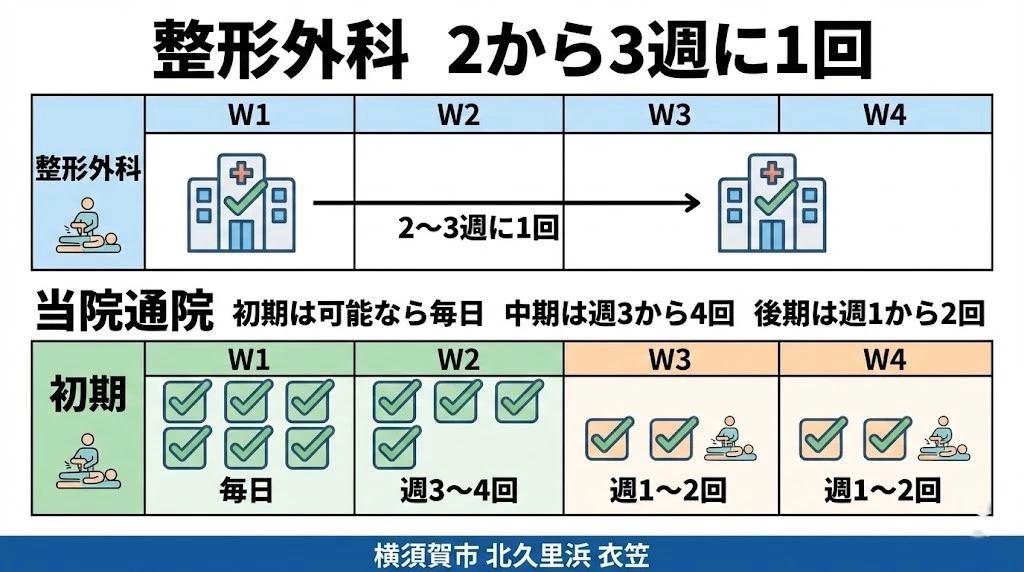 交通事故後の整形外科と整骨院の併診スケジュール 整形外科受診日と整骨院の施術日を組み合わせた通院予定例