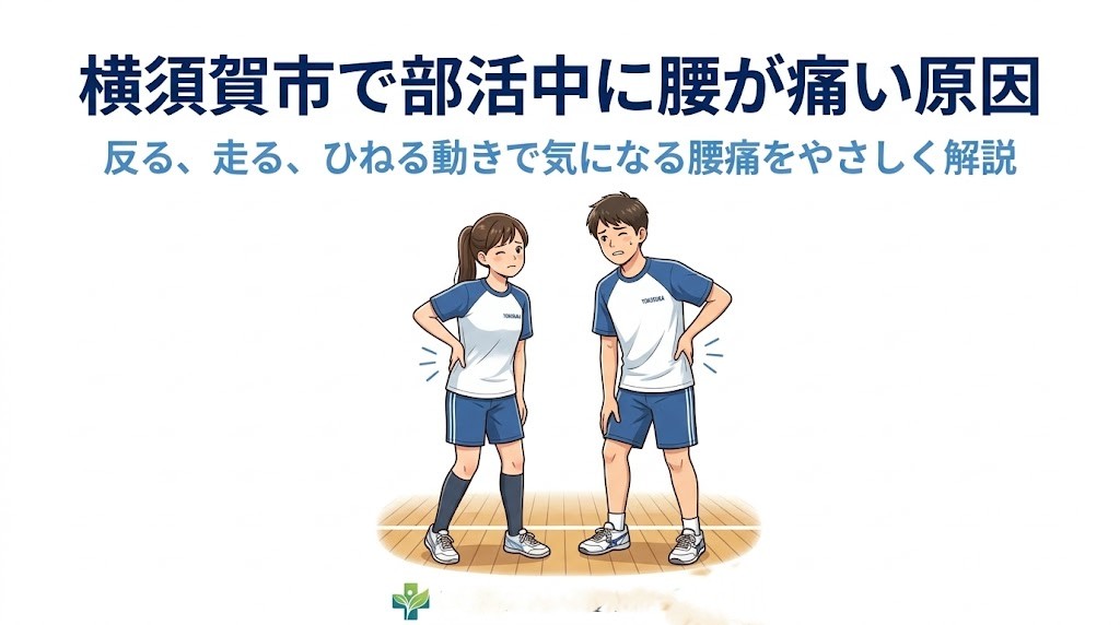 横須賀市で部活中に腰が痛い原因を解説する鍼灸整骨院ひまわりのアイキャッチ画像