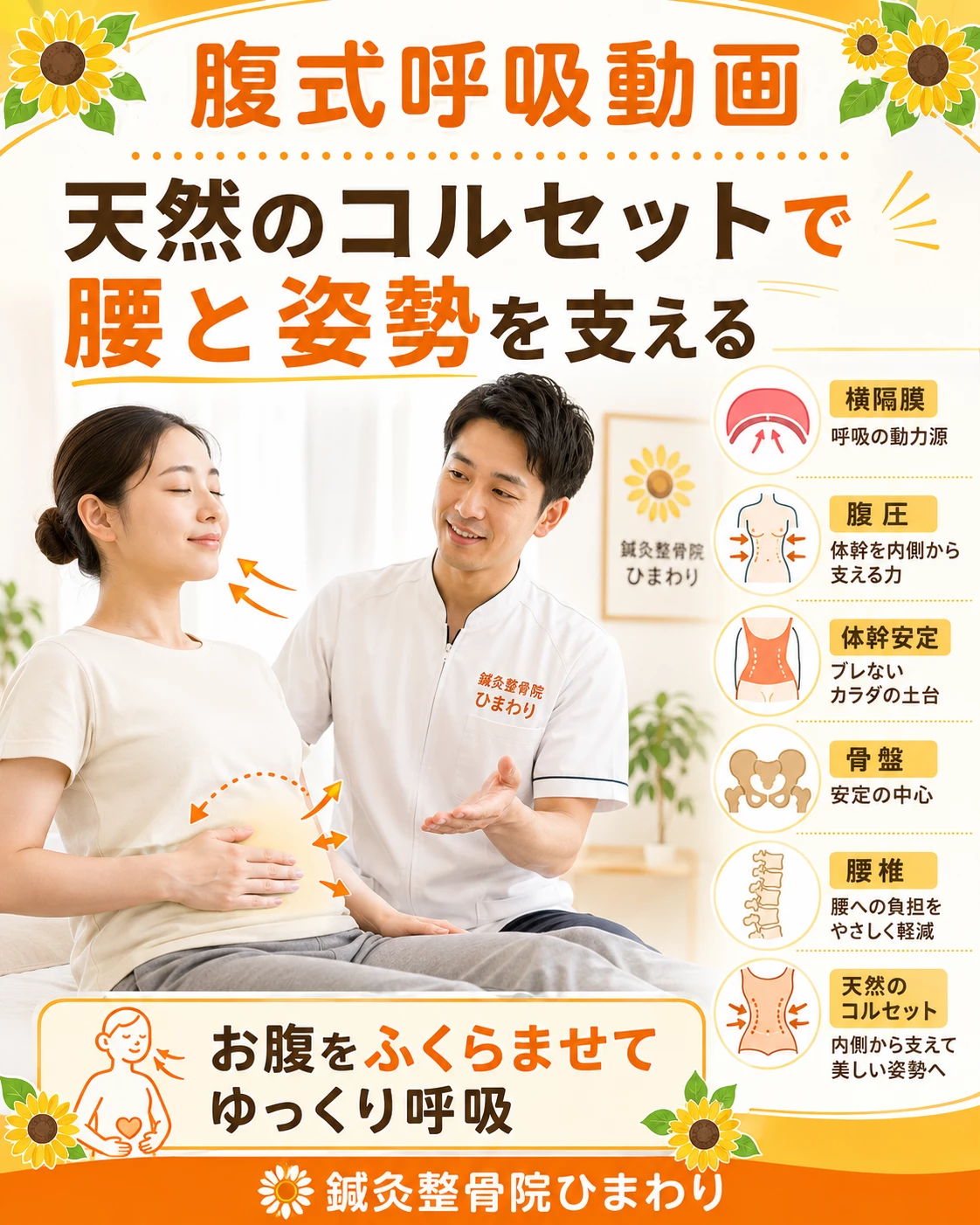 横須賀市で腰と姿勢を支えたい方へ腹式呼吸動画 横須賀市で腰と姿勢の安定が気になる方へ腹式呼吸で天然のコルセットを作る動画を案内する鍼灸整骨院ひまわりのヒーロー画像