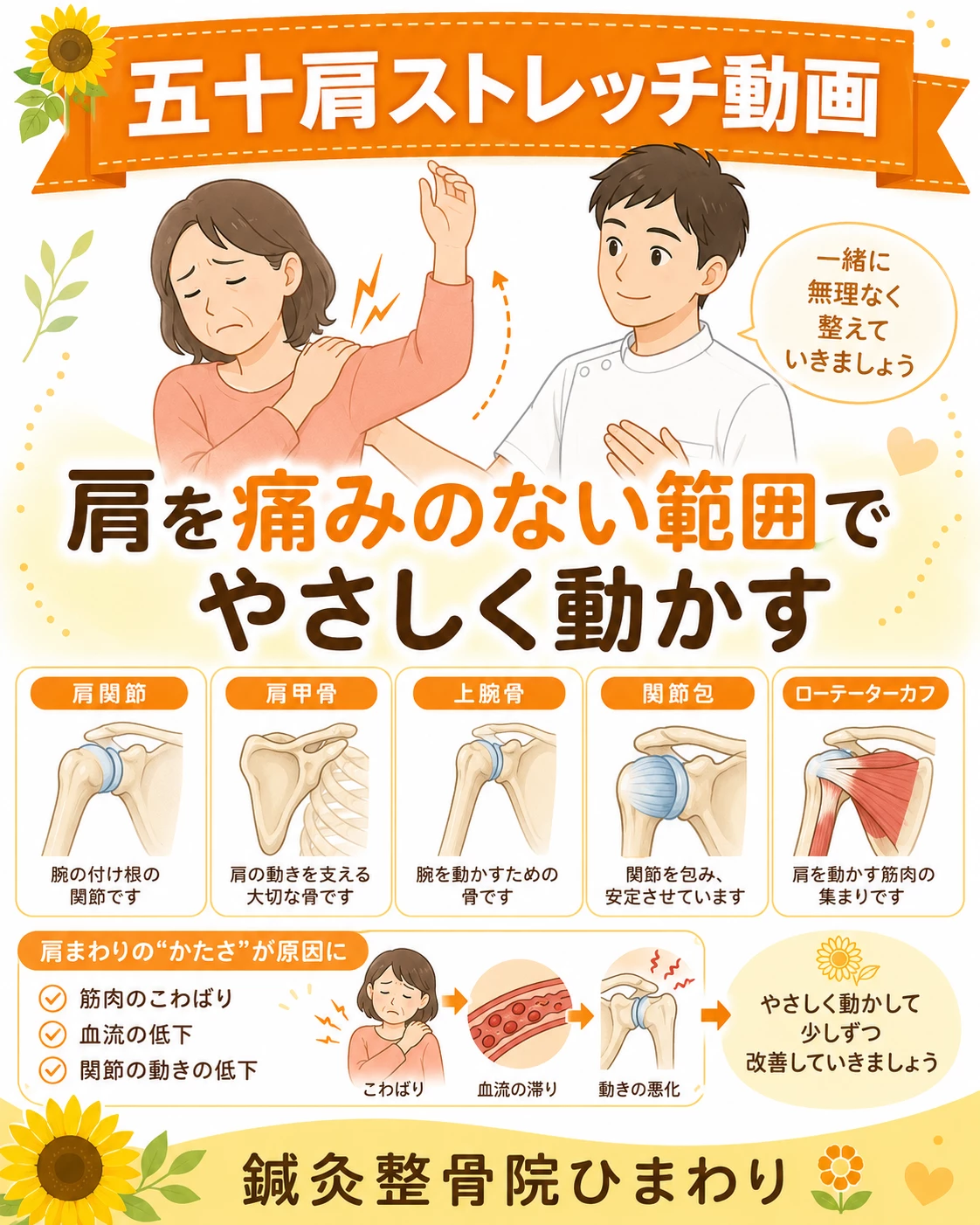 横須賀市で四十肩・五十肩が気になる方の肩ストレッチ動画 四十肩や五十肩が気になる方へ肩を無理なく動かすセルフケアを案内する鍼灸整骨院ひまわり