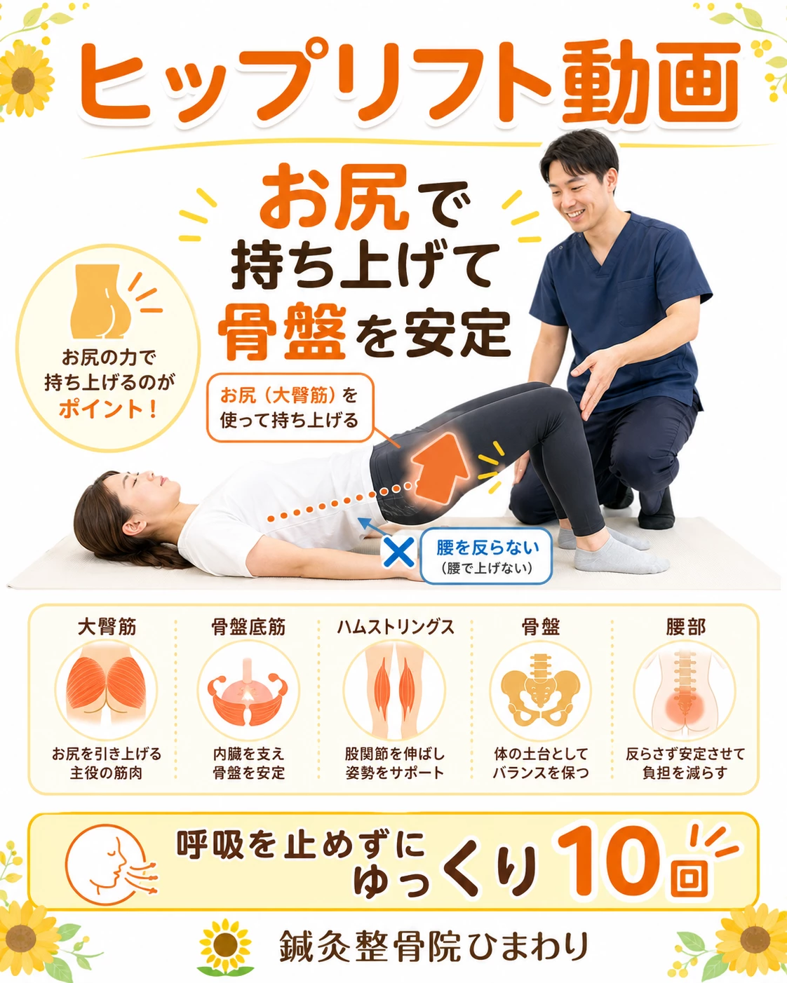 横須賀市でお尻と体幹の安定性を高めたい方へヒップリフトを案内する鍼灸整骨院ひまわりのヒーロー画像